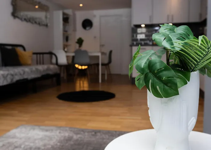 Cosy Ground Floor Apartment